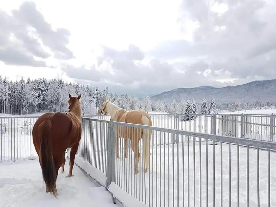 Отель Ranch Marina Koce Экстерьер фото